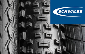 SCHWALBE